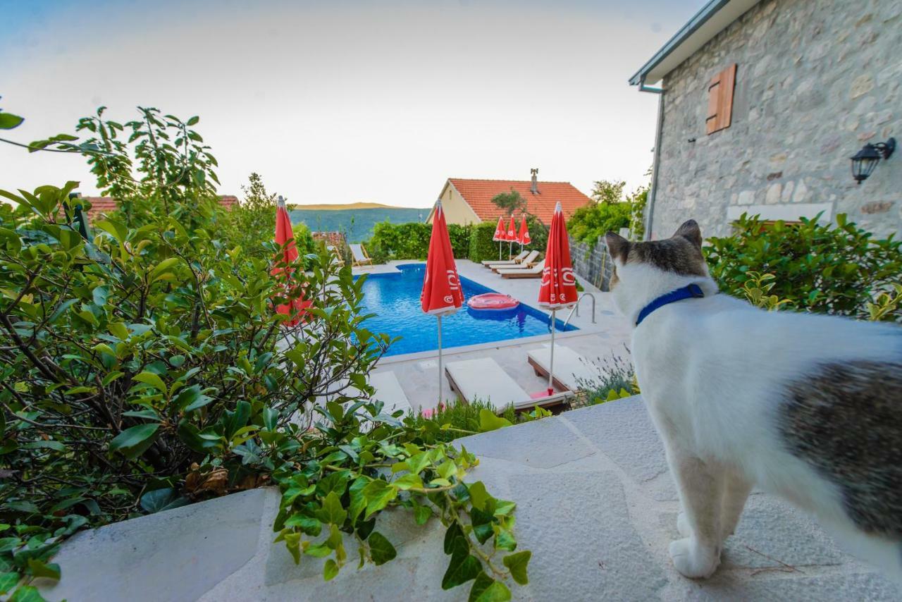 Mediteraneo Villa Kaluderovici Dış mekan fotoğraf